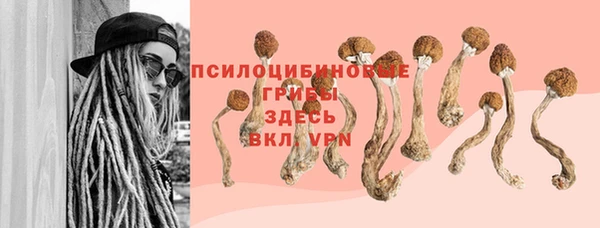 прущий лед Алексеевка