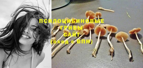 прущий лед Алексеевка