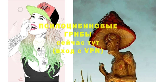 хмурый Алексин