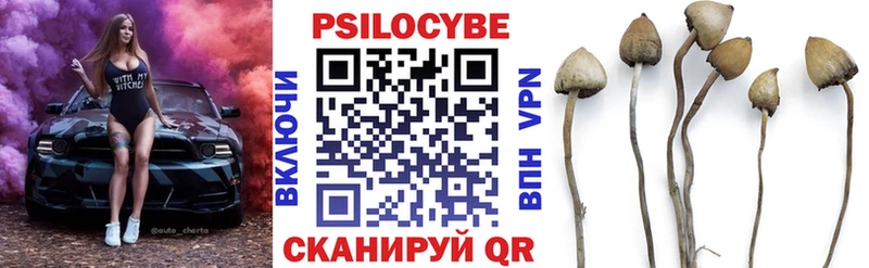 Галлюциногенные грибы Magic Shrooms что такое Людиново