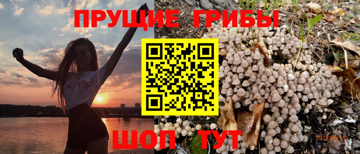 Псилоцибиновые грибы Magic Shrooms  Псилоцибиновые грибы Magic Shrooms  Вход с VPN  Людиново 